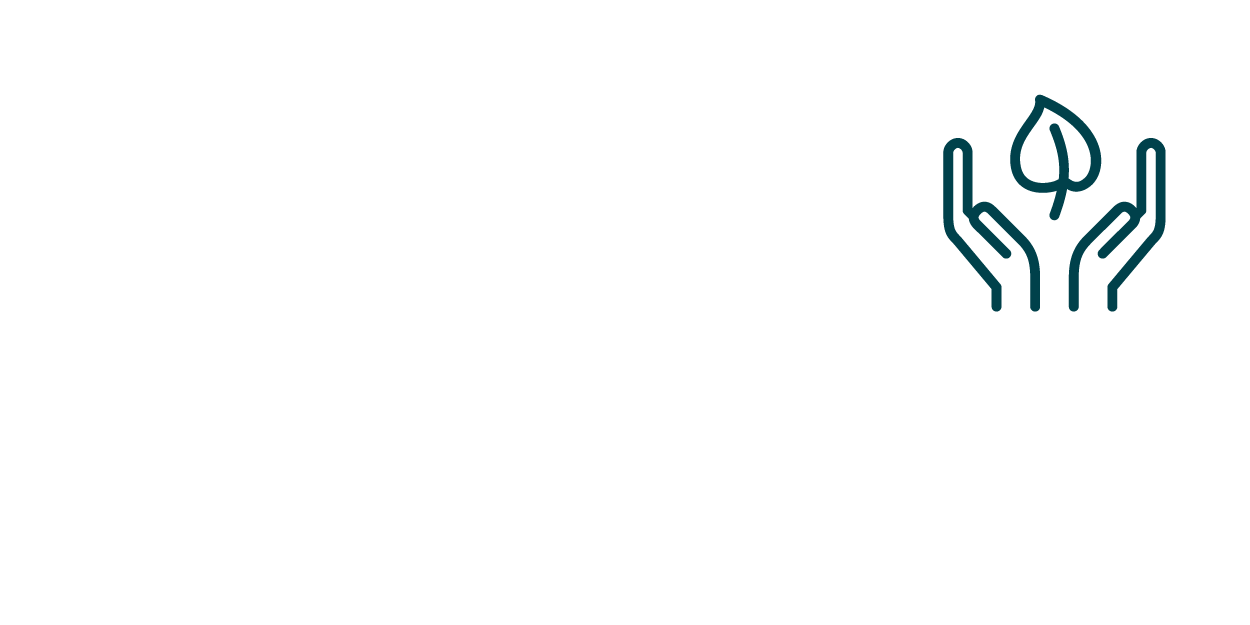 icon_pflanze_oben.png