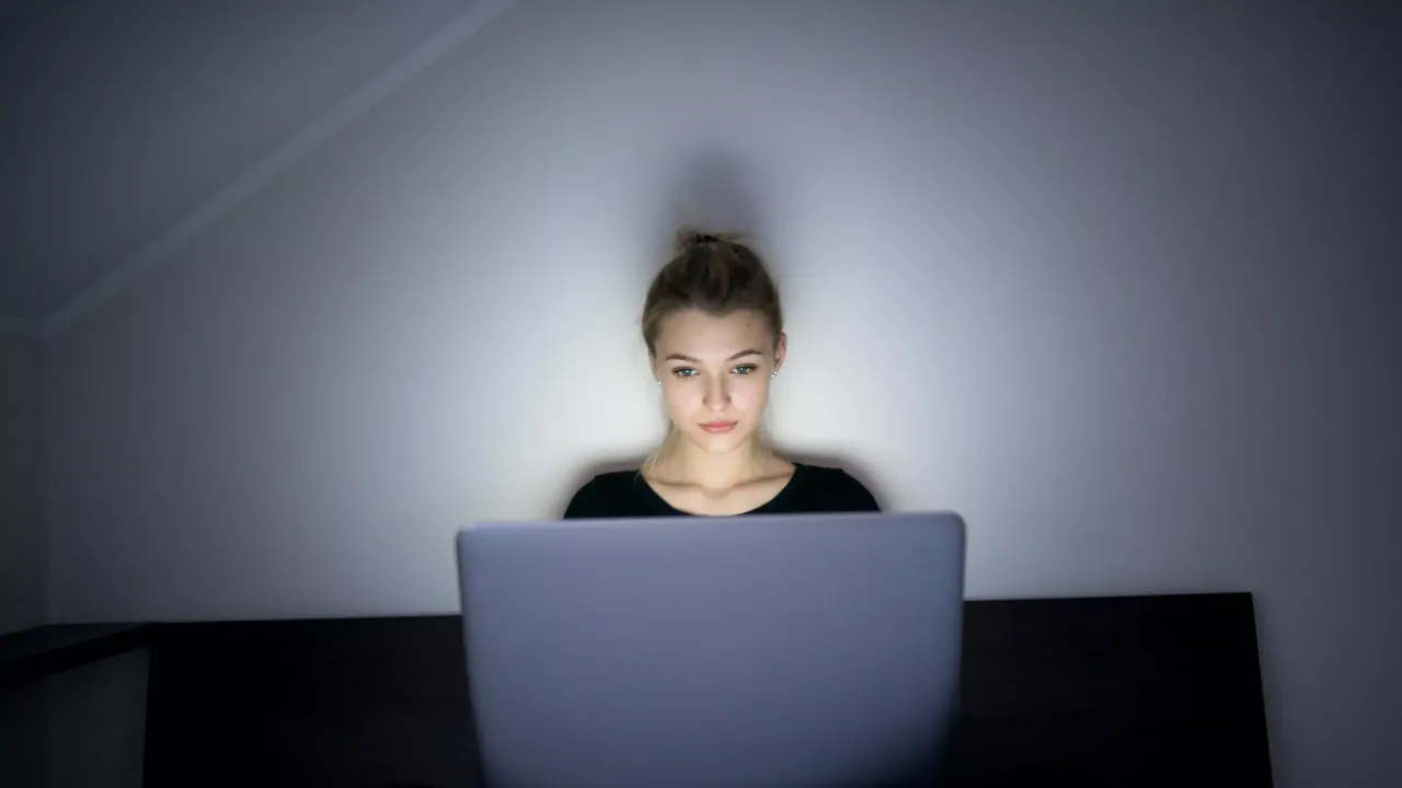 Es wird eine Frau abgebildet, die nachts mit ihrem Laptop im Bett arbeitet