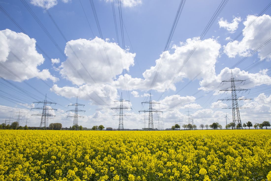 Es wird eine Stromtrasse des Übertragungsnetzbetreibers Amprion dargestellt. Im Vordergrund sind Felder zu sehen, im Hintergrund Hochspannungsleitungen.