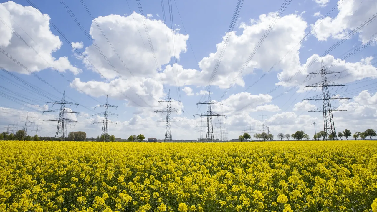 Es wird eine Stromtrasse des Übertragungsnetzbetreibers Amprion dargestellt. Im Vordergrund sind Felder zu sehen, im Hintergrund Hochspannungsleitungen.
