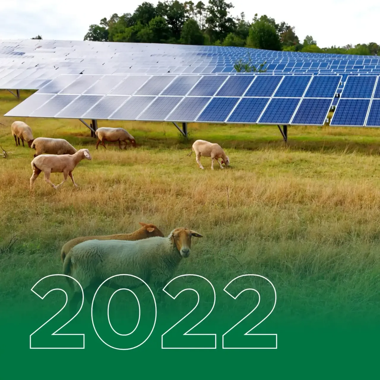 Teaser 5 Jahre klimaVest – 2022.png