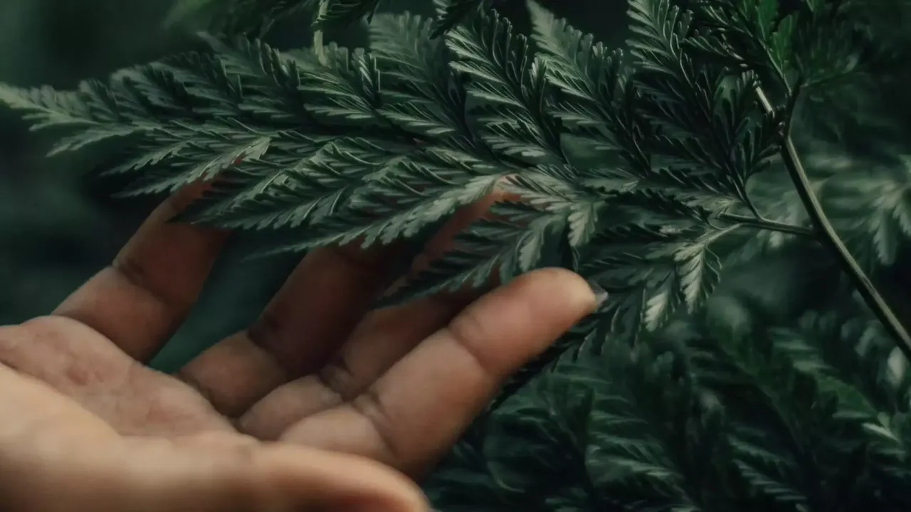 Nachhaltigkeit Detail einer Hand mit grünem Blatt