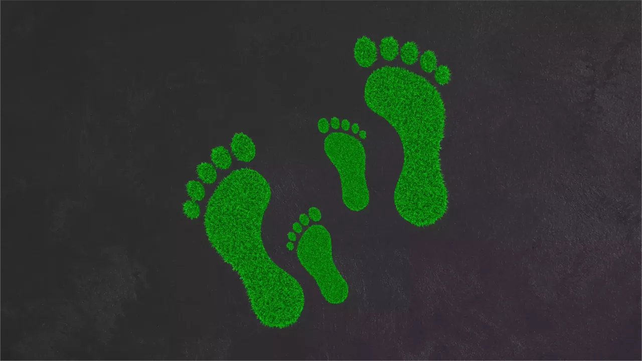 klimaVest: Fußabdruck Grafik für den nachhaltige Geldanlage Teaser