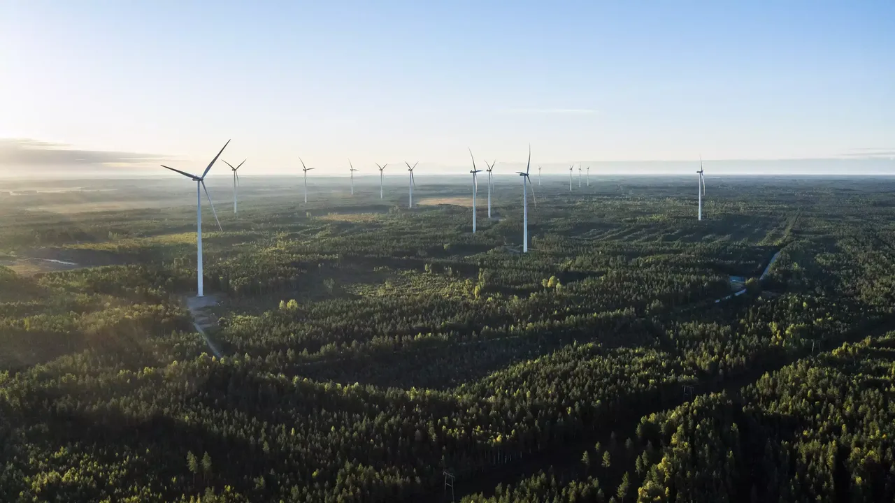 klimaVest: Luftaufnahme des Windparks Kuuronkallio im Sonnenlicht