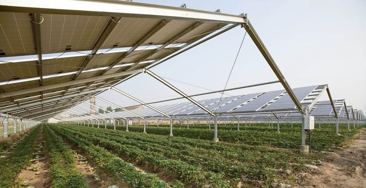 CR_Renewables_Agri-PV1.jpg