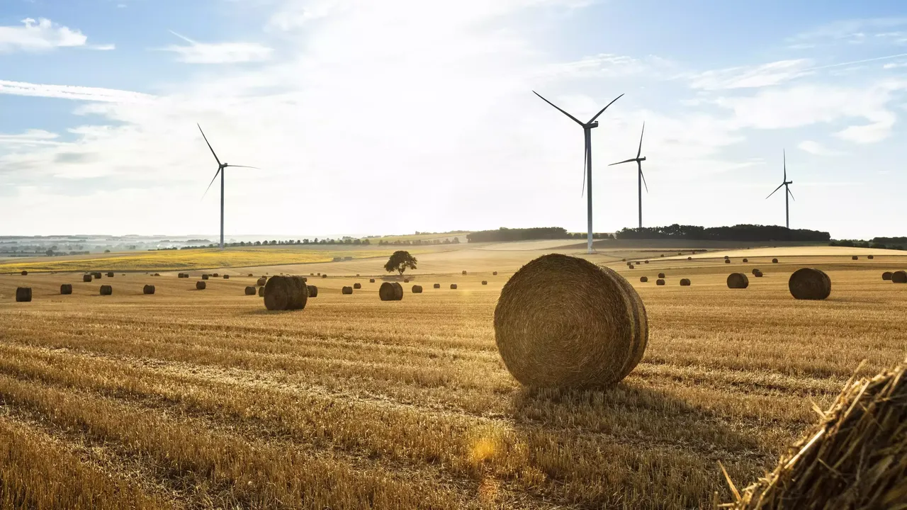 klimaVest: Aufnahme aus dem Kornfeld mit Heuballen eines Windrades im Windpark ToutVent