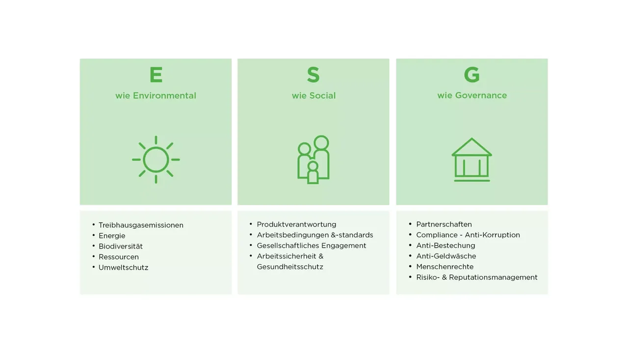 Welche Begriffe fallen unter den Bereich G der ESG-Kriterien?