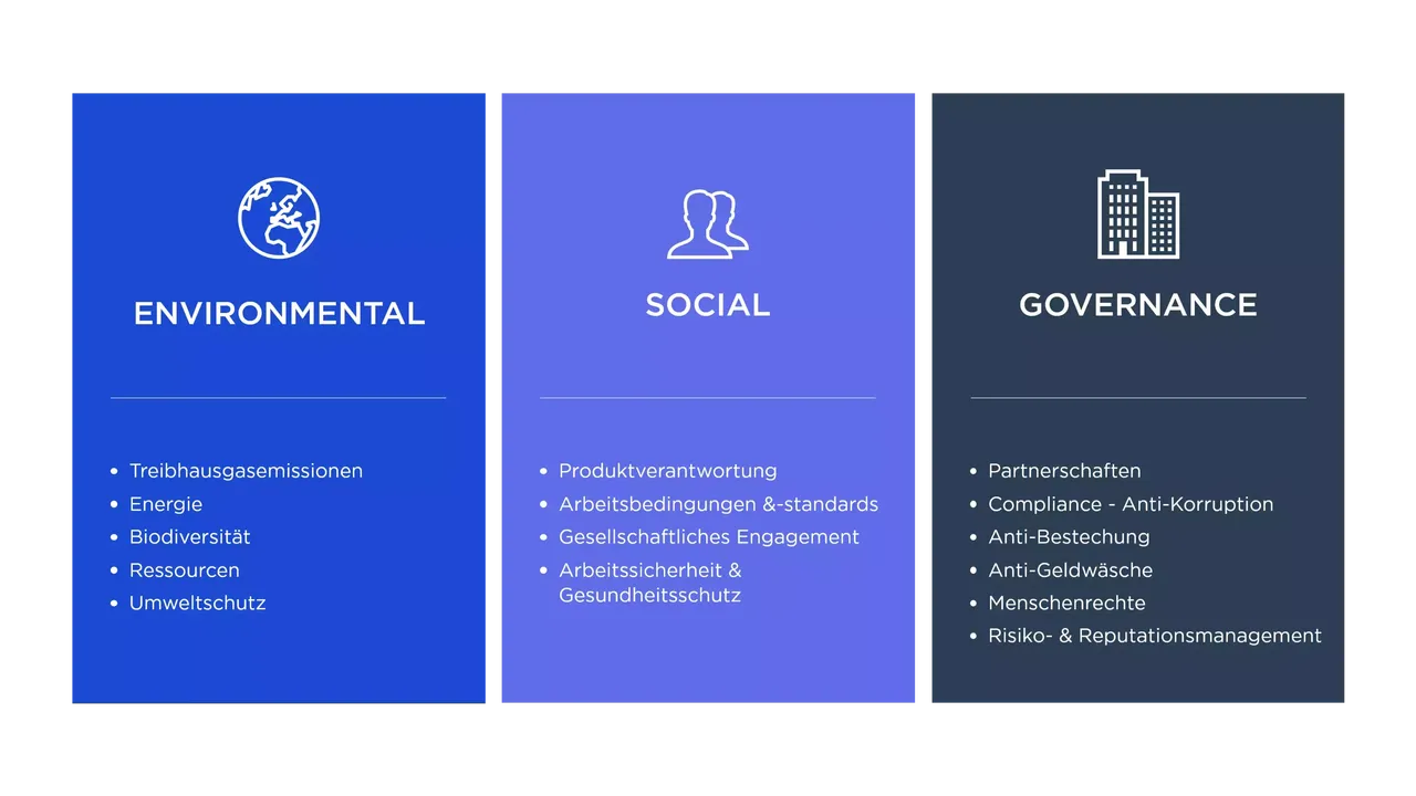 hausinvest-webseite-grafik-esg-kriterien-01.png