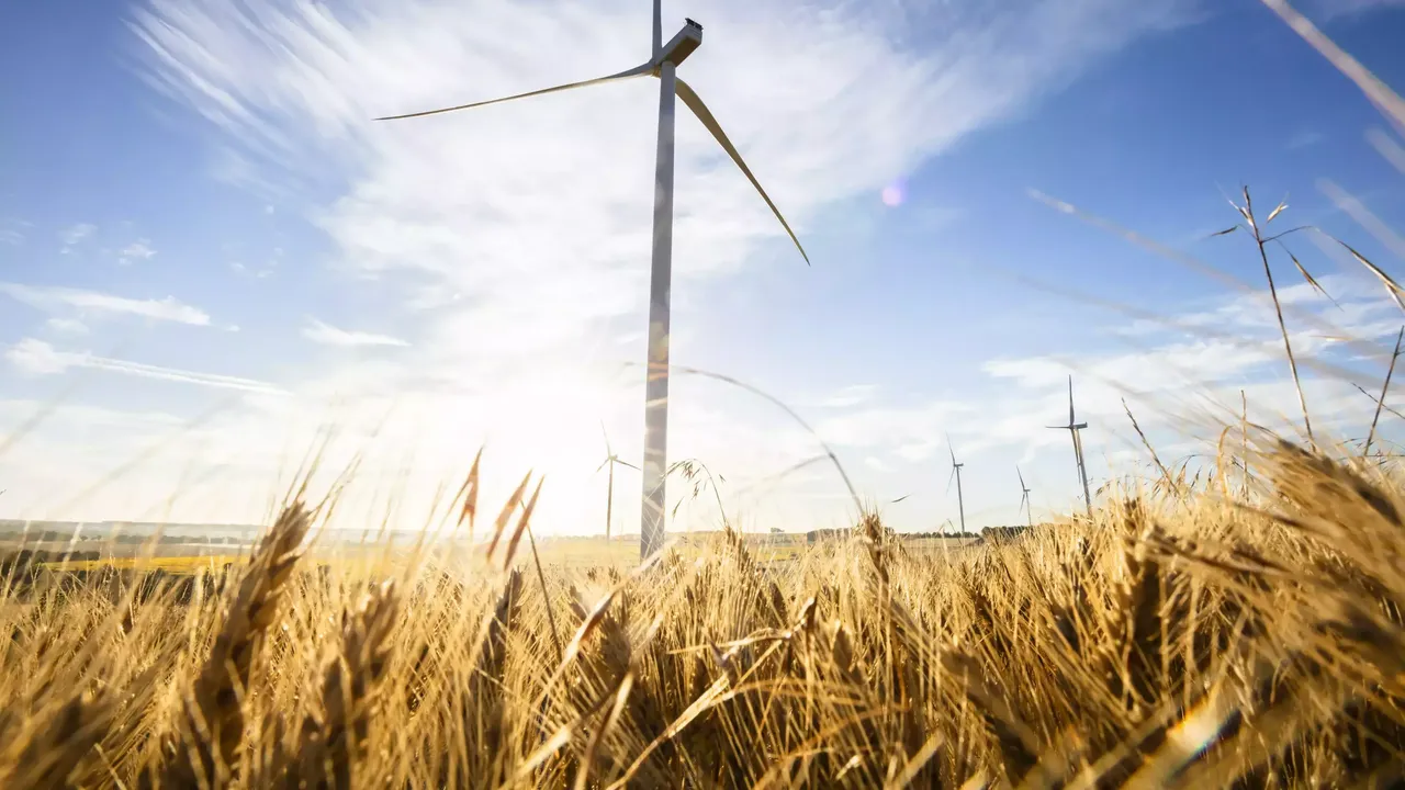 klimaVest: Aufnahme aus dem Kornfeld eines Windrades im Windpark ToutVent