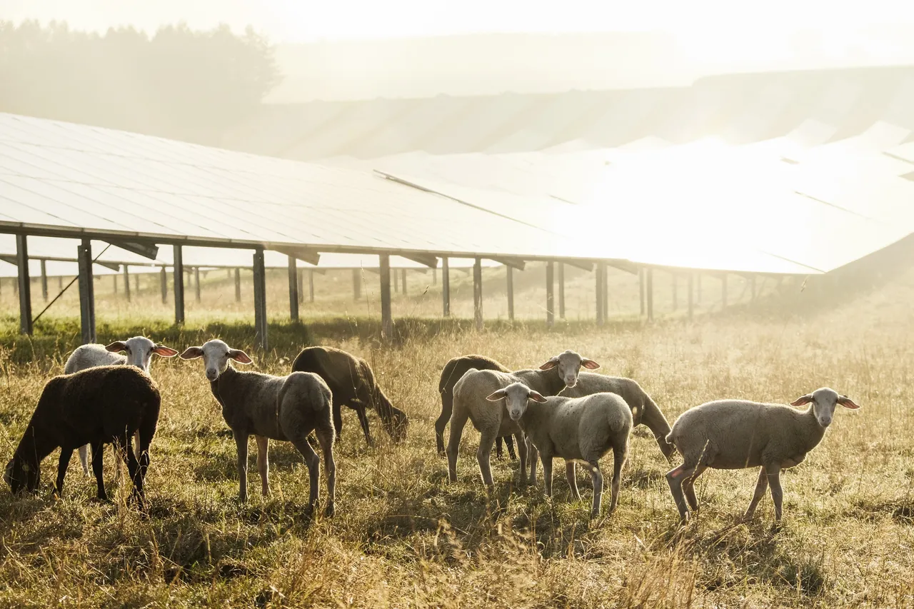 Agrikultur und Photvoltaik