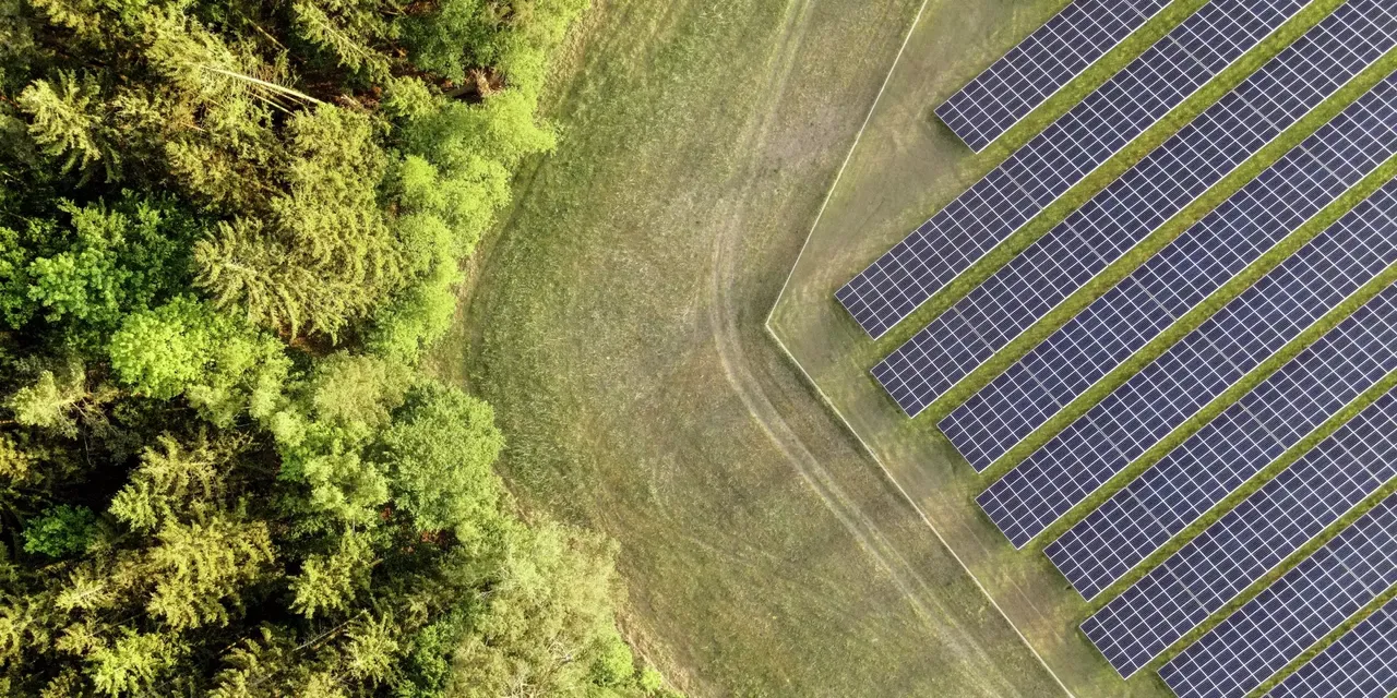 Commerzreal_Renewables_Solar_Wald.jpg