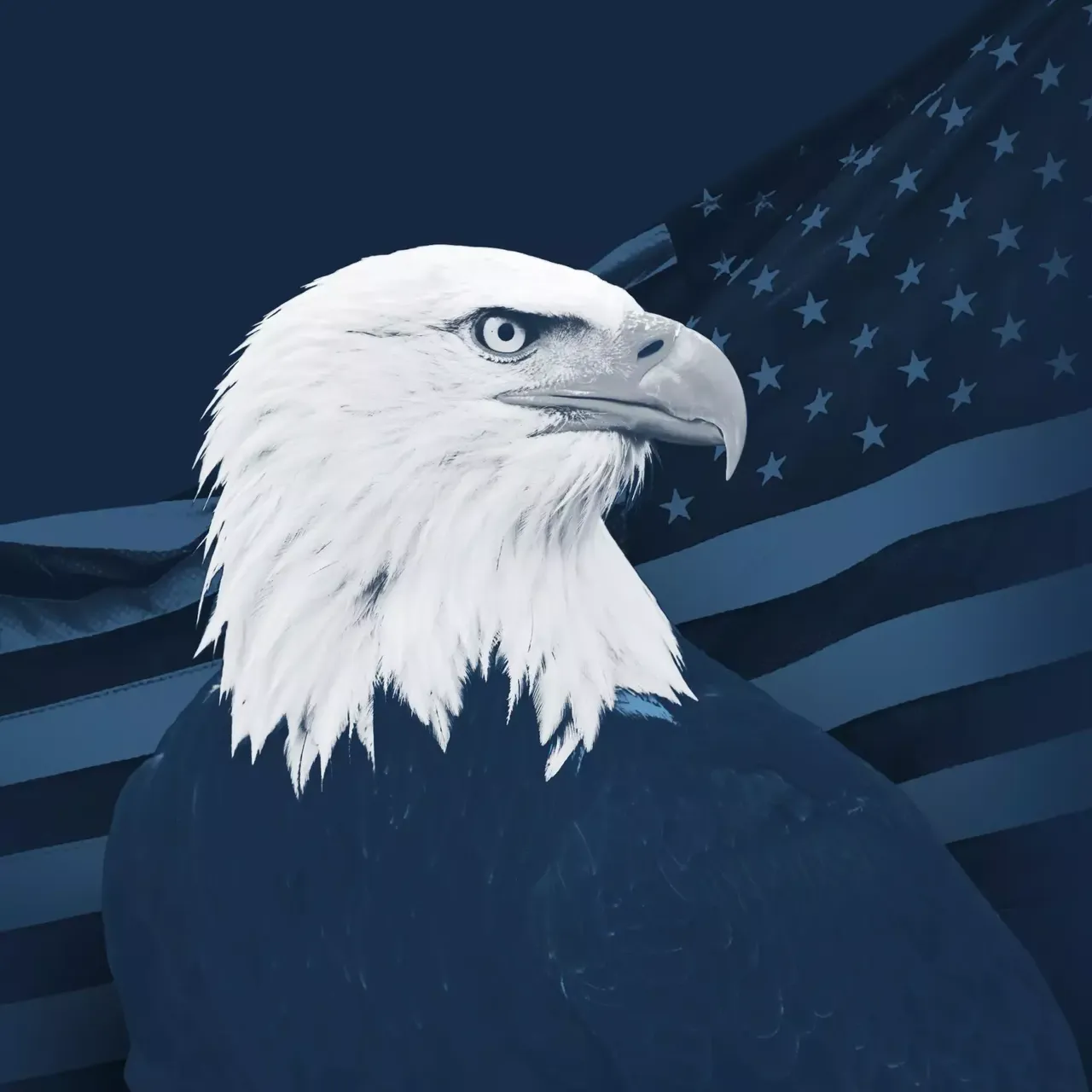 Die Grafik zeigt einen Adler, der vor einer Amerikaflagge steht und nach rechts schaut