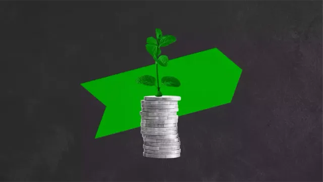 klimaVest: Pflanze auf Geld Grafik für den Impact Investing Teaser