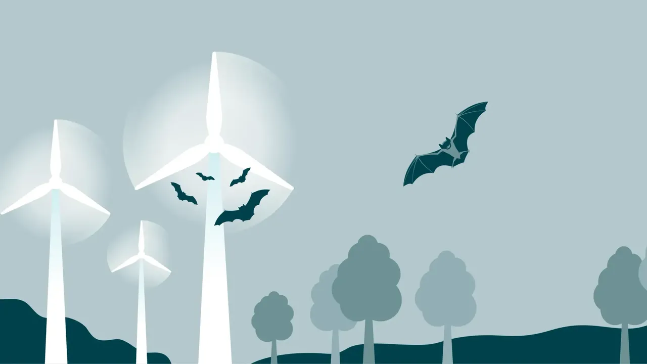 In einer Visualisierung wird eine Gruppe von Fledermäusen dargestellt, die sich einem Windkraftpark im Anflug nähern.