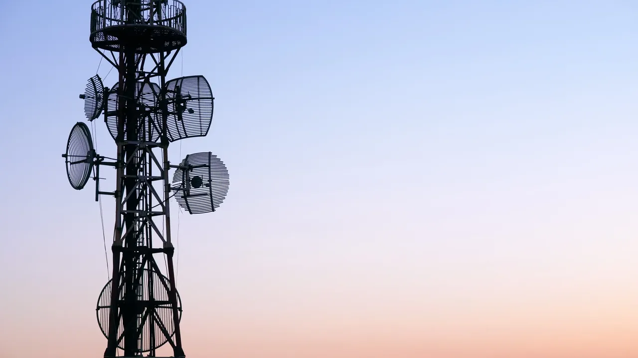A radio tower mast is shown as an example for an infraVest Asset.