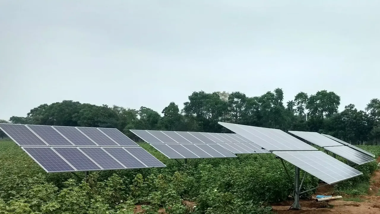 klimaVest:
  Solarpanels auf landwirtschaftlichem Untergrund.