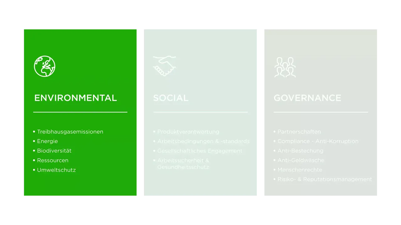 klimaVest: Die Grafik zeigt die Kriterien für Environmental des ESG Modells.