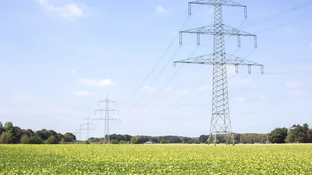 Es wird eine Stromtrasse des Stromnetzbetreibers Amprion dargestellt. Im Vordergrund grüne Wiesen, im Hintergrund hügelige Waldlandschaft.